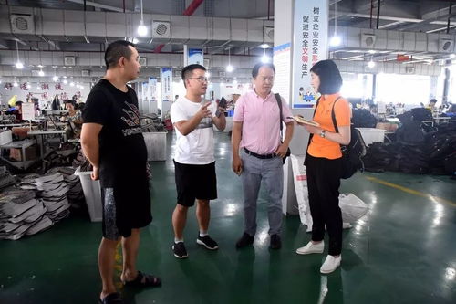 江蘇臺(tái)攝制組聚焦大龍，專題片攝制展現(xiàn)獨(dú)特風(fēng)采